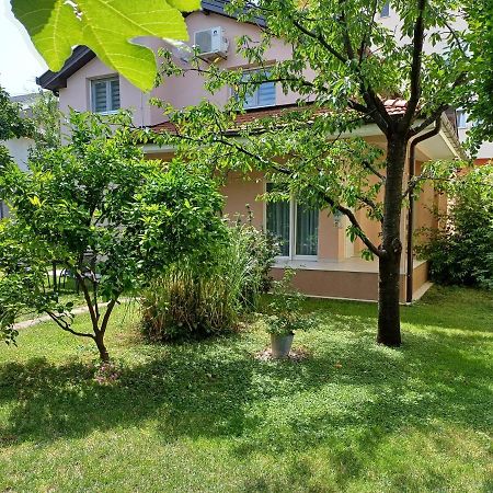 מוסטר Villa Tamara With Garden And River View - Free Private Parking - Garage מראה חיצוני תמונה