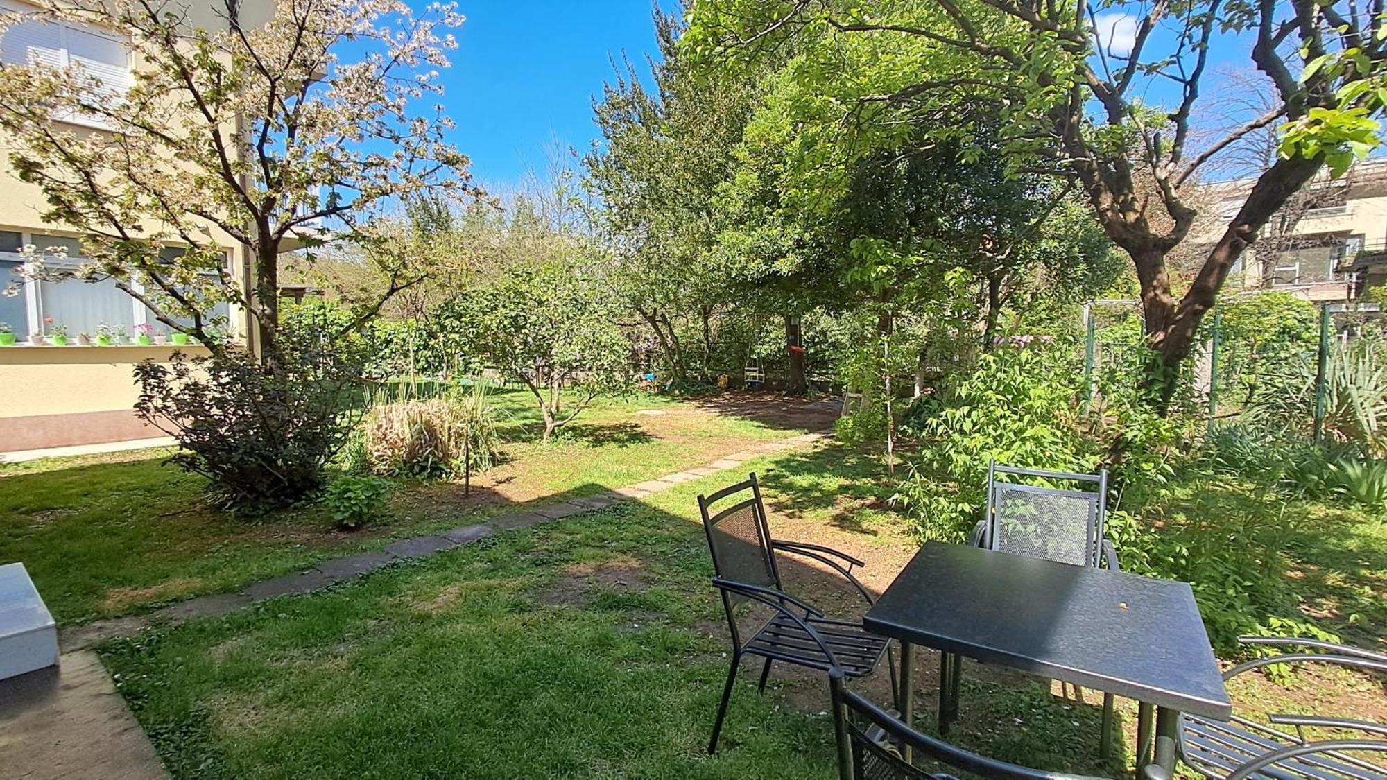 מוסטר Villa Tamara With Garden And River View - Free Private Parking - Garage מראה חיצוני תמונה